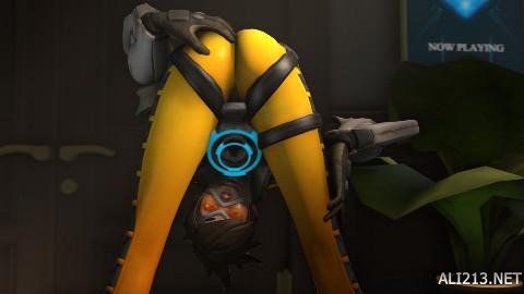 引用了泰山 引用了泰山