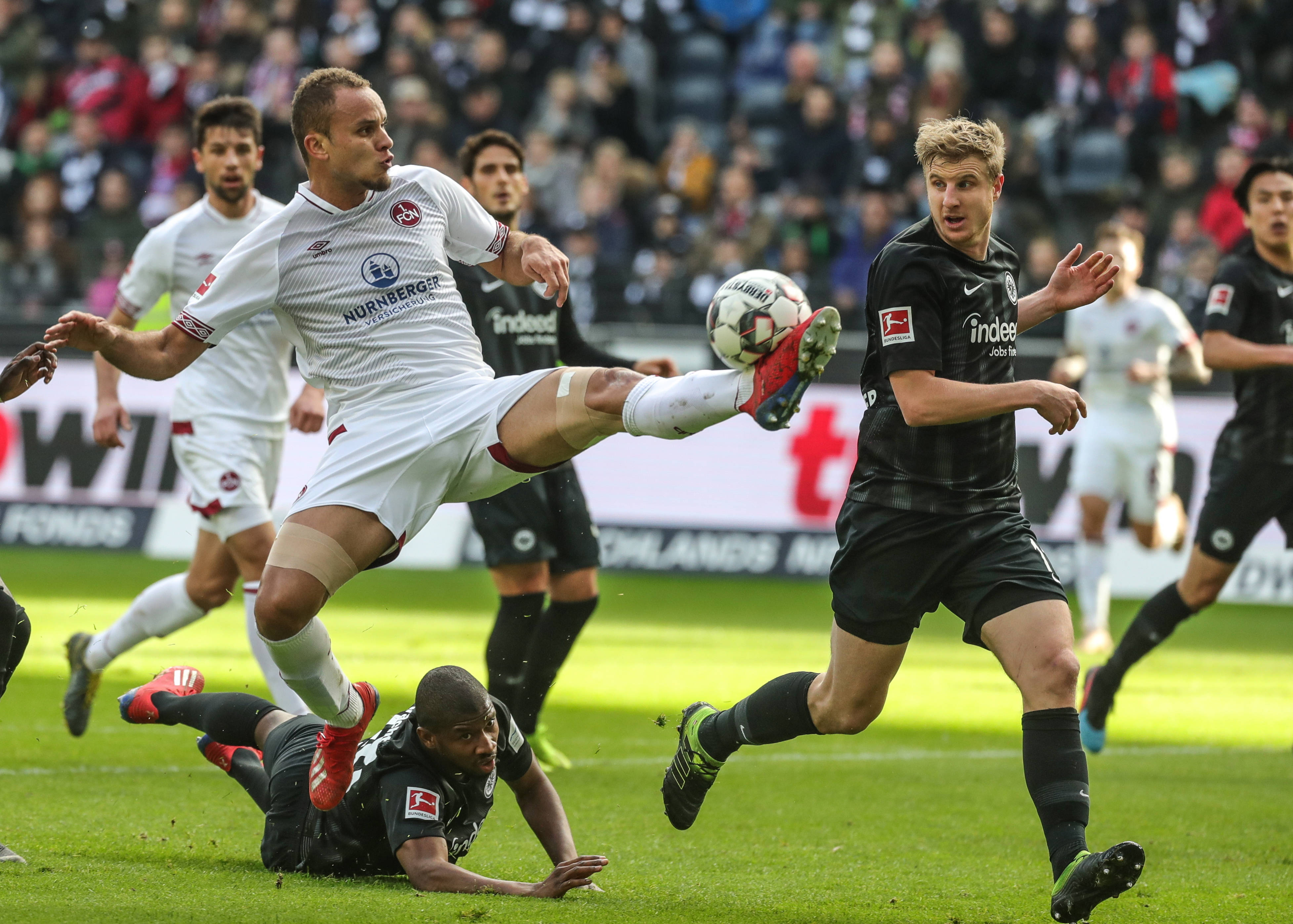 盛开而显得 盛开而显得