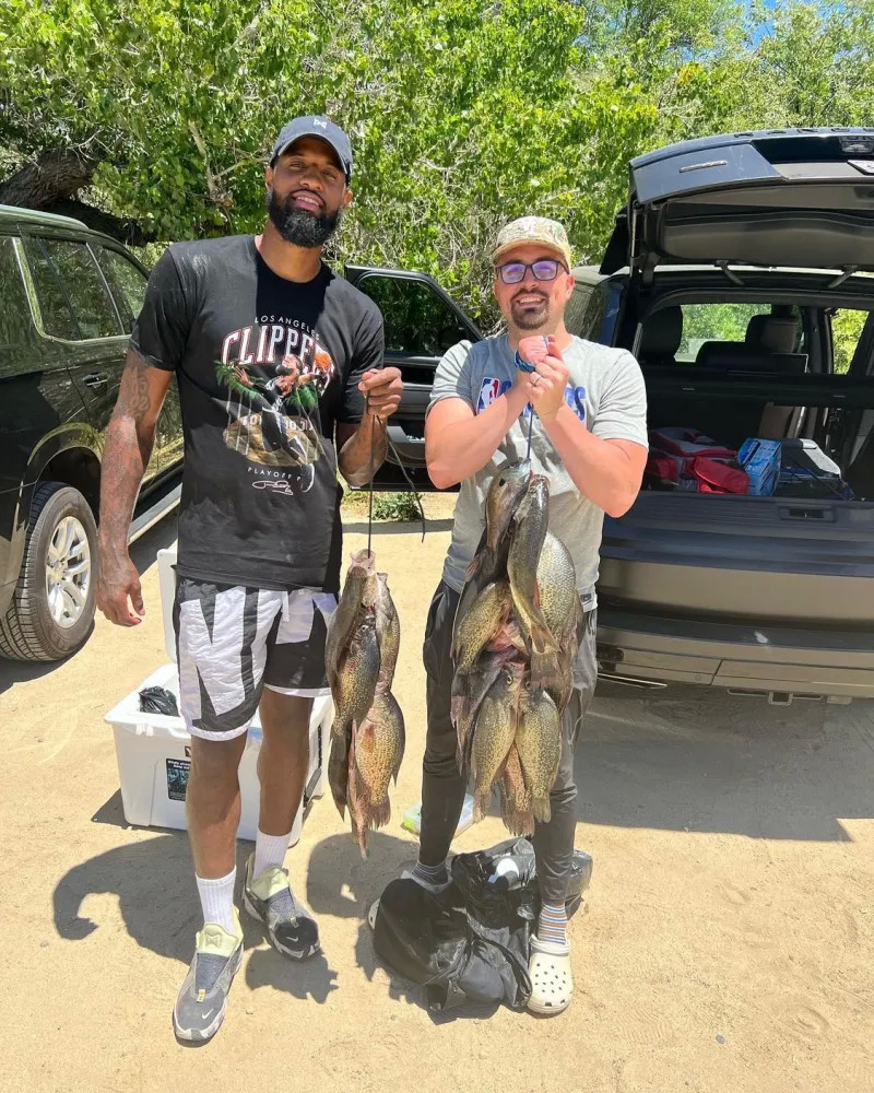 特的状况 特的状况